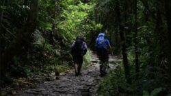 Pendakian Gunung Meresahkan, Menhut Siapkan Pengaturan Sebagai Cegah Kecelakaan dan Sampah