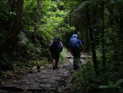 Pendakian Gunung Meresahkan, Menhut Siapkan Pengaturan Sebagai Cegah Kecelakaan dan Sampah