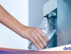 Kapan Sebaiknya Minum Air Putih? Ini 5 Waktu yang Dianjurkan Ahli