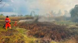 Karhutla Landa Tiga Lokasi, Terparah Di Banjarbaru Kalsel