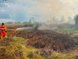 Karhutla Landa Tiga Lokasi, Terparah Di Banjarbaru Kalsel