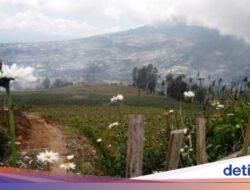7 Tempat Wisata Pegunungan Sejuk Hingga Jawa Di Selain Dieng