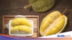 Wow! Promo Makan Durian Sepuasnya Cuma Rp 44 Ribu
