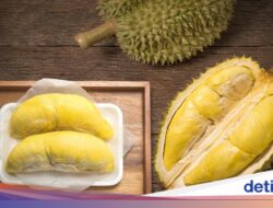 Wow! Promo Makan Durian Sepuasnya Cuma Rp 44 Ribu