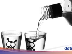 Masih Ingat Perkara Pidana Hukum Turis Keracunan Metanol Hingga Laos? Ini Update Terbarunya