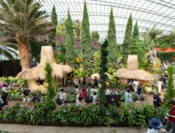 Indonesia Hadirkan 30 Instalasi Karyaseni Hingga Flower Dome Singapura, Tampilkan Pesona Nusantara