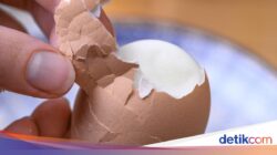 Metode 10-5-10 Bikin Kulit Telur Rebus Gampang Dikupas, Begini Caranya!