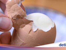 Metode 10-5-10 Bikin Kulit Telur Rebus Gampang Dikupas, Begini Caranya!