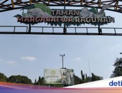 Liburan Sekolah Hingga Ragunan, Berikut Tarif HTM dan Tips