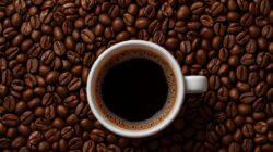 Minum Minuman Kafein Hitam Setiap Pagi Bisa Bikin Panjang Umur, Asal…