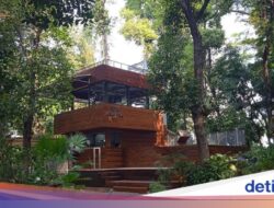 Healing Sejenak Di Kafe Bernuansa Hutan Di Jakarta Pusat