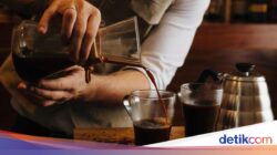 5 Keistimewaan Minuman Kintamani, Di Tanah Vulkanik hingga Rasa Citrus