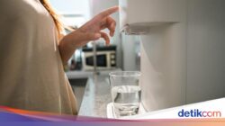 Minum Sambil Berdiri Katanya Bikin Ginjal Rusak, Ini Penjelasan Ahli Kebugaran