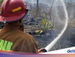 Karhutla Menghanguskan Kaki Gunung Guntur Di Garut