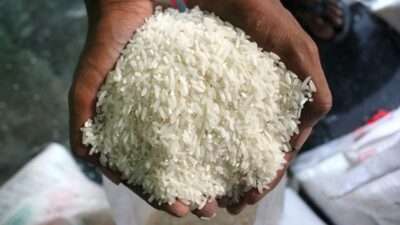 Mitigasi Dampak El Nino, Pemberian Beras Lanjut hingga Desember 2026