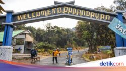 Badan Geologi Minta Wisatawan Waspadai Gas Beracun Ke Area Blue Fire Papandayan